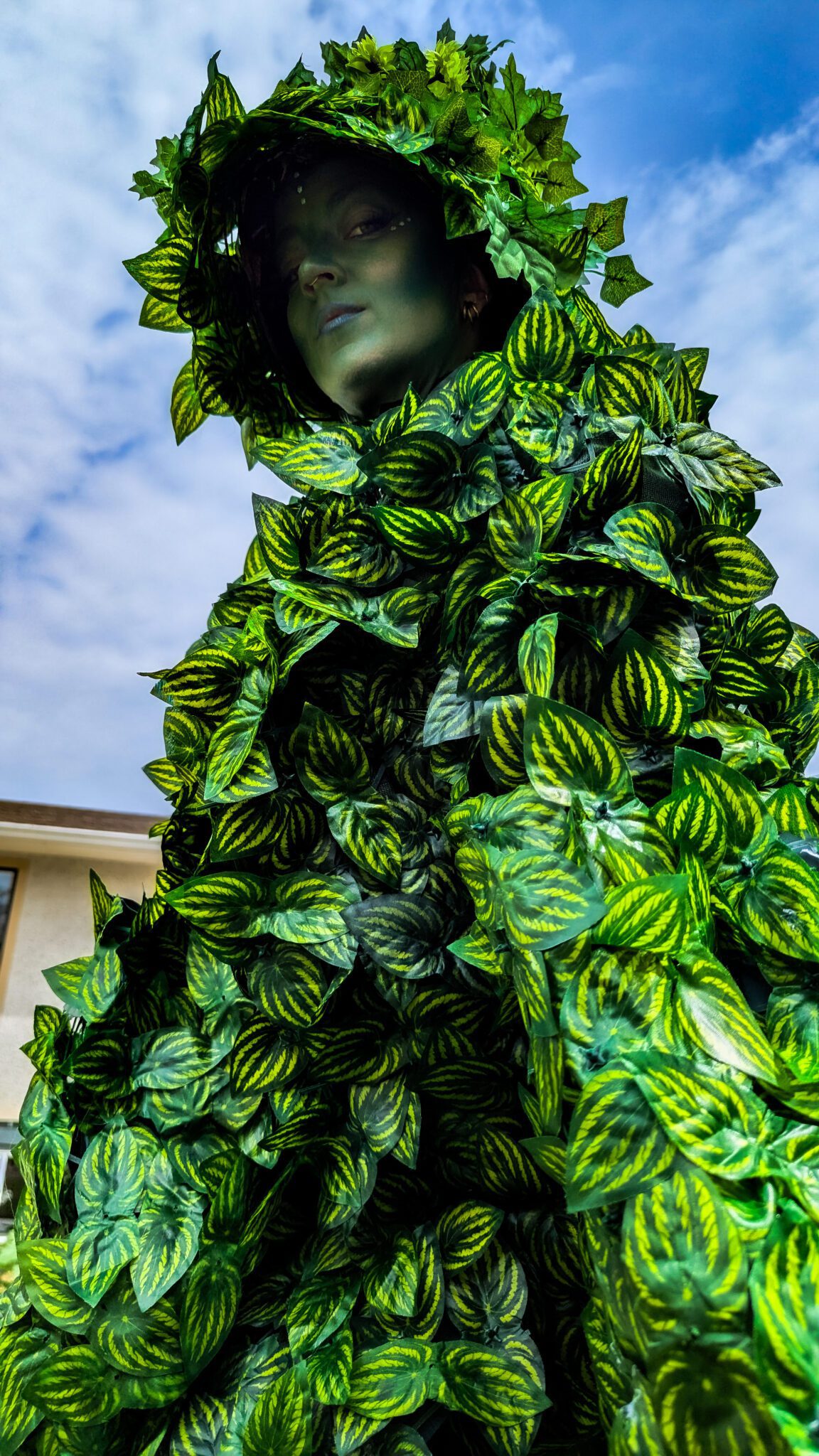 Vine Stilt Walkers